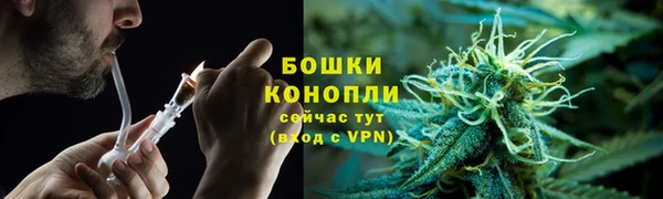 дживик Аркадак
