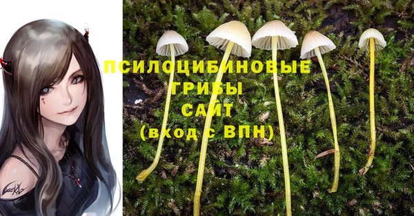 дживик Аркадак