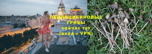 дживик Аркадак