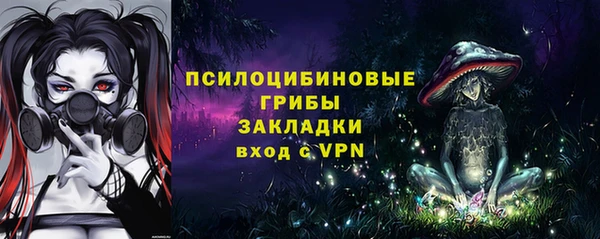 дживик Аркадак