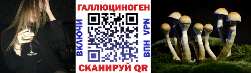 Галлюциногенные грибы MAGIC MUSHROOMS  даркнет сайт  Туринск 