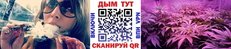 Шишки марихуана White Widow  как найти   Туринск 
